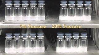 Nucleation Technology for Freeze Dryers from Millrock Tech A Uniform Lyophilization Process [upl. by Tedmund]