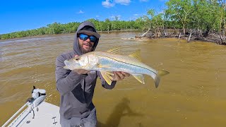 DON’T Put Your Hands In The Water  Everglades Snookin’ [upl. by Haneekas]