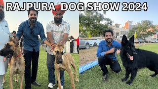 FIRST DOG SHOW IN PUNJAB 2024  RAJPURA DOG SHOW  BEST DOG BREEDS [upl. by Harms]