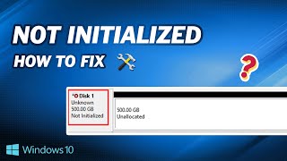 How to Fix External Hard Drive Not Initialized [upl. by Ahsienad]