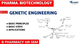 Basic Principles of Genetic Engineering  Applications of Genetic Engineering  Unit1 Biotechnology [upl. by Gariepy]