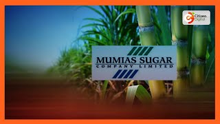 Jaswant Rai withdraws all cases against Mumias Sugar [upl. by Klehm]