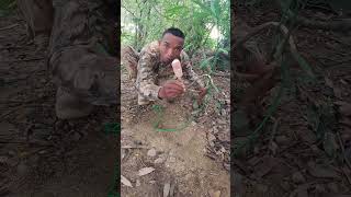 Traps unpredictable trap bushcraft alanhdva [upl. by Harod]