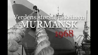 Murmansk  1968 Verdens største fiskehavn [upl. by Nylyahs16]