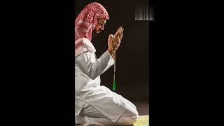 Sajda YouTube short video [upl. by Akiemat]