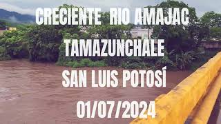 Creciente del río amajac en Tamazunchale San Luis Potosí Puente Los Tamarindos Julio 2024 [upl. by Anitteb]