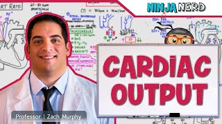 Cardiovascular  Cardiac Output [upl. by Miles]