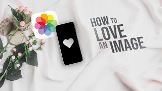 How to Love an Image on iPhone tutorial [upl. by Nattie561]