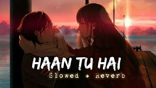 Haan Tu Hain SlowedReverb  KK Pritam  Jannat  LoFi TV [upl. by Acinod909]