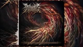 Sparganum Proliferum  Parasitic Mutated Infecting Of Human Beings Full Album [upl. by Anabelle771]