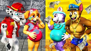 PAW Patrol The Movie 36 ►Rich Chase vs Poor Marshall Skye  What happened to the Paw Patrol Pups [upl. by Joed]