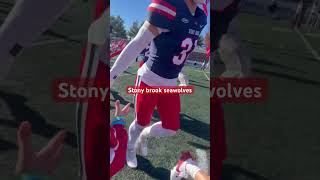 STONYBROOK SEAWOLVES [upl. by Kirkpatrick]