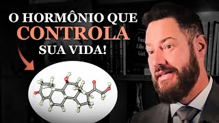 TUDO sobre o CORTISOL Estresse energia e imunidade [upl. by Daphie]