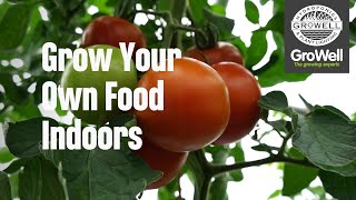 Grow Your Own Food Indoors  GroWell Hydroponics [upl. by Tik453]