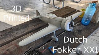 3D Printed Dutch Fokker XXI 916mm [upl. by Akered371]