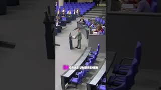 Helmut Schmidt würde sich im Grab umdrehen nachrichten afd politik ampelkoalition deutschland [upl. by Aillemac]