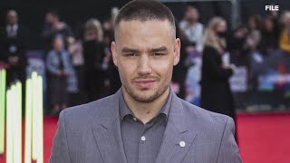 Liam Payne death Initial toxicology results released [upl. by Gnohp339]