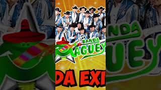 Como La Luna  Banda Maguey  Mejores Canciones de Banda Maguey  Quebradita Mix De Los 90 [upl. by Saltsman910]