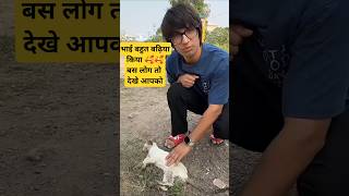 Saurav Joshi ne ki billi ki help 🥰 cat vlog souravjoshivlogs help shorts videoshort viralnow [upl. by Orv]