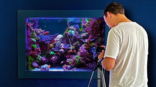 In Wall Aquarium with Rare Reef Tank Fish Worth Thousands [upl. by Ky955]