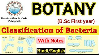 Classification of Bacteria on the Basis of Shape and Morphology  Classification of Bacteria [upl. by Lisa]