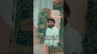 Sufi Nooruddin Hasan Shah 11 vi Sharif salana shorts naatsharif gauspaak [upl. by Lletnohs]