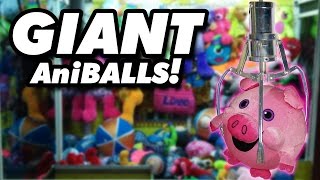 GIANT AniBalls at Dave and Busters  Claw Machine Wins [upl. by Lucey]