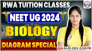 NEET UG 2024  NEET Biology PYQ  NEET Biology Diagram Special Class By Swabhi Maam [upl. by Josefa779]