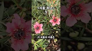 식물 퀴즈 이름 맞춰보세요 [upl. by Odama]