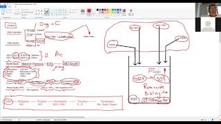 Conceptos Básicos de TAR Parte 1 [upl. by Shing]