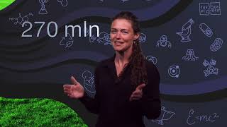 How Dutch culture affects bringing science to market  Eline van Beest  TEDxBoerhaavedistrictStudio [upl. by Nref]