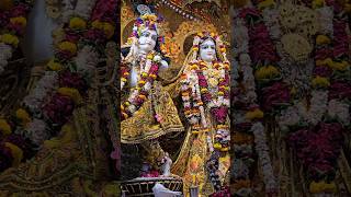 Krishna Bhakti Latest Songs l Suno Krishna Pyaare Swati Mishra Song l Krishna Bhajans In Temples l [upl. by Okihcas]