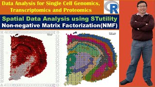 Spatial Data Analysis using STutility Nonnegative Matrix Factorization NMF [upl. by Vallonia393]