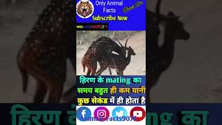 Deer 🦌 बारे में रोचक तथ्य 🥶ytshort viral fact animals trending shortfeed [upl. by Midan594]