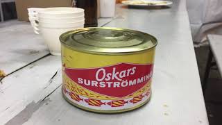 Surströmming Stinkefisch aus der Dose Das letzte Abendmahl [upl. by Jeannie835]