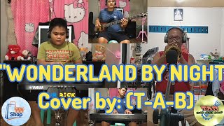 quotWONDERLAND BY NIGHTquot BERT KAEMPFERT Cover By TAB [upl. by Vijar499]