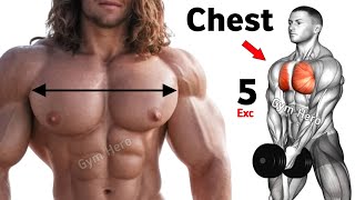 5 Effective Exercises To Build A Big Pecs Muscle  Chest Workout [upl. by Chance]