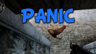 PANIC  CSGO Funny Highlights with Boo amp Etalyx [upl. by Eelrehpotsirhc454]