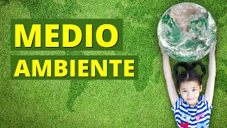 ¿Qué es el MEDIO AMBIENTE y cómo cuidarlo Características e importancia 🌳 [upl. by Ecinreb513]