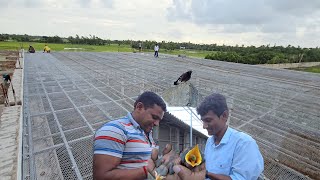 Indian Mayna Breeding  Parrot Dipankar New Parrot Farm Aviary Shape And Size [upl. by Katharyn]