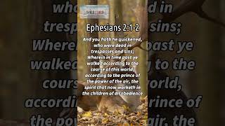 Daily Bible Verse Ephesians 212 wordsofjesuseachday bibleverse wordfortoday faithjourney [upl. by Tuneberg677]