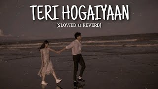 Teri Hogaiyaan SlowedReverb Song Vishal Mishra  RT Lofi [upl. by Adranoel]