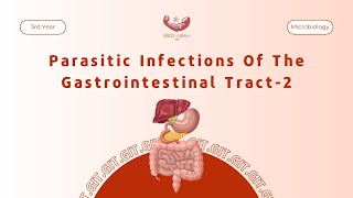 Parasitic Infections Of The Gastrointestinal Tract  2 [upl. by Talanta]