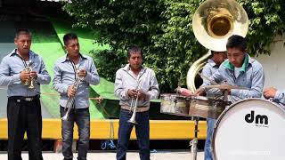 Puros Corridos Con Banda de Viento Caminos de Michoacán Tampico Hermoso Por Una Mujer Casada [upl. by Lebasile812]