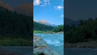 Pahalgam Lidder River  Pahalgam Vlog  Beautiful Kashmir  Kashmir Tour kashmirtour pahalgam [upl. by Devinne177]