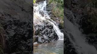 lohas park waterfalls shortvideo viralvideo hongkong fypシ゚viral [upl. by Mcclelland]