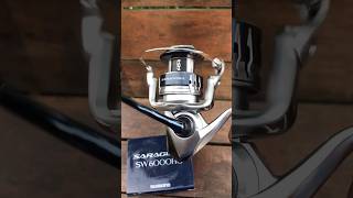 REEL SHIMANO SARAGOSA SW 6000 HG [upl. by Aitetel348]