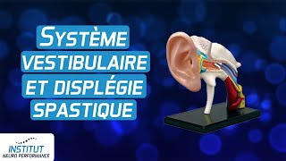 Système vestibulaire correction et dysplegie spastique [upl. by Suhcnip20]