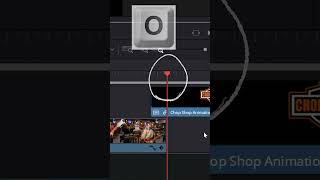 LOOP Any Section of your Timeline  DaVinci Resolve [upl. by Adihsaar891]