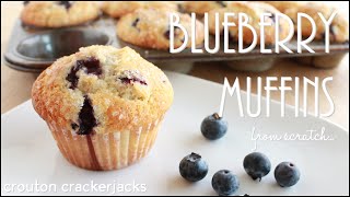 Homemade Blueberry Muffins How to Make Fruit Muffins from Scratch [upl. by Meyeroff]